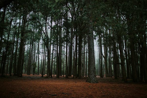 Courtney_Danny_Watagens_Elopement_Blog-59