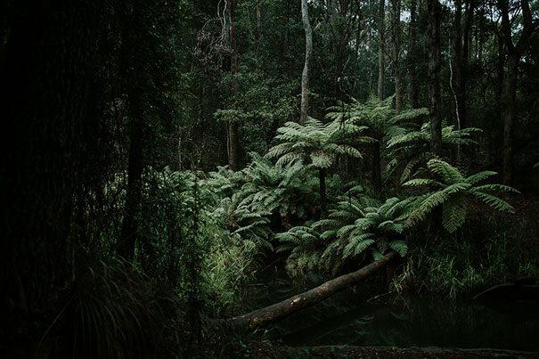 Courtney_Danny_Watagens_Elopement_Blog-6