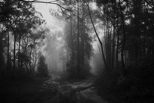 Courtney_Danny_Watagens_Elopement_Blog-80