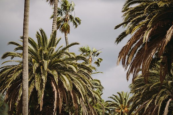 Laurens-Hall-wedding-Melbourne---Raquel-Benito-128