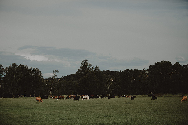 siannon+kurt(143of214)