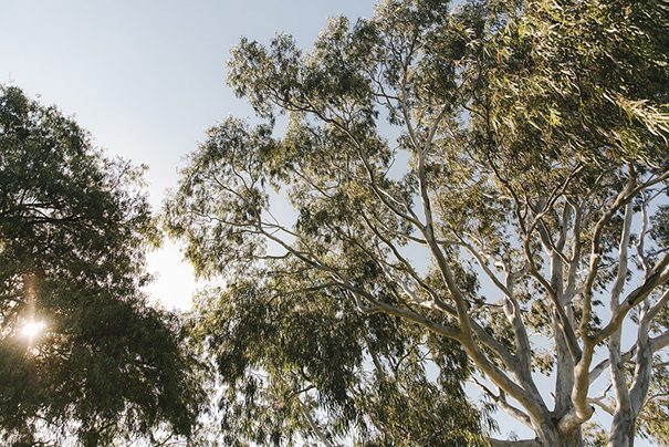 151128_EMMA_HEATH_CEREMONY-190