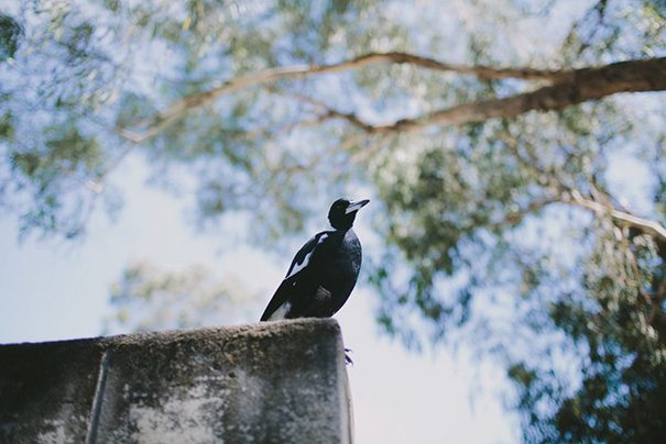 2017_01_15_Susie_Nathan-0002