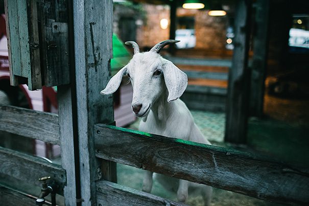 Fiona+BobbyPhotography_Kristin+Ben'sWedding_HelloMay-362-0598