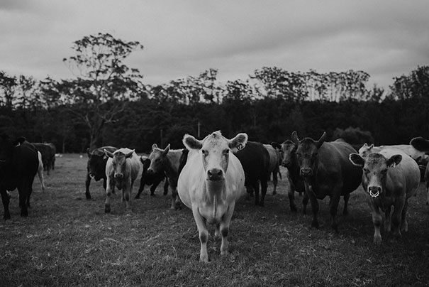 OP_Karen+Lee_Highlights(222of270)