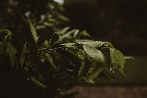 OP_Karen+Lee_Highlights(8of270)