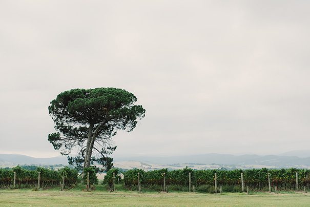 Shannon+ChristianbySheTakesPicturesHeMakesFilms-HelloMay-167