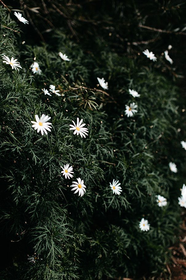 Trini-+-Michael---Hello-May-Submission---002