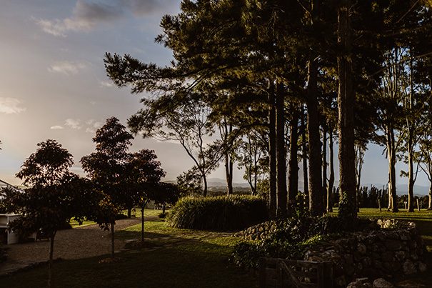 camille_jesse_hello_may-352