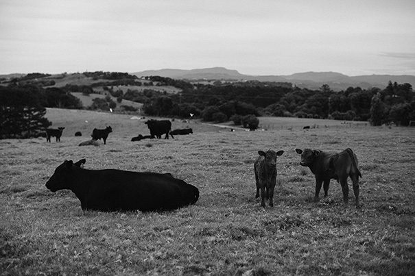 camille_jesse_hello_may-97